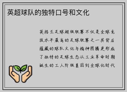 英超球队的独特口号和文化