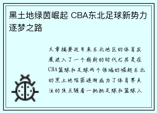黑土地绿茵崛起 CBA东北足球新势力逐梦之路