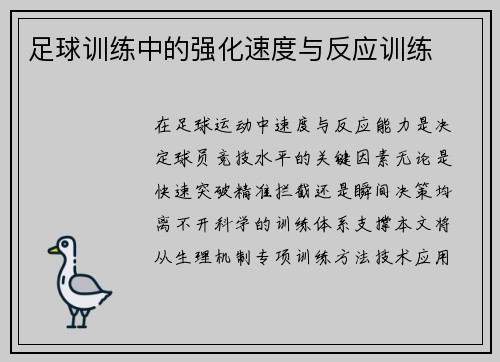 足球训练中的强化速度与反应训练
